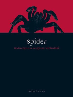 cover image of Spider